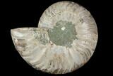 Agatized Ammonite Fossil (Half) - Crystal Chambers #111491-1